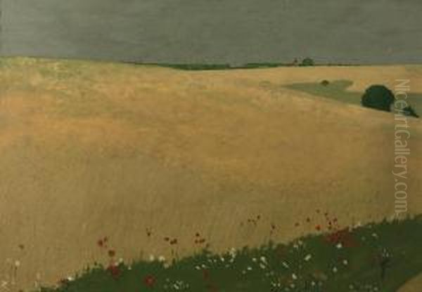 Poppies In A Field - view 1