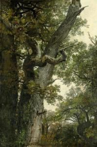 Knorrige Eiche Bei Namur by Anton Alexander von Werner
