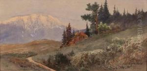 Betitelt "schneeberg Beisonnenuntergang" - view 1