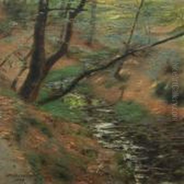 Forest Scenery - view 1