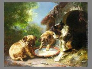 Hunde Vor Der Hutte