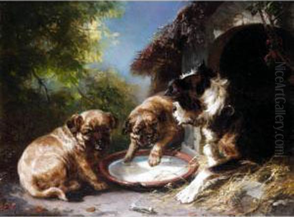 Meal Time - view 1