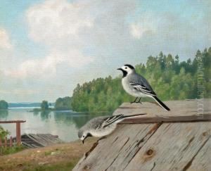 Small Birds On The Roof by Ferdinand Wilhelm Von Wright