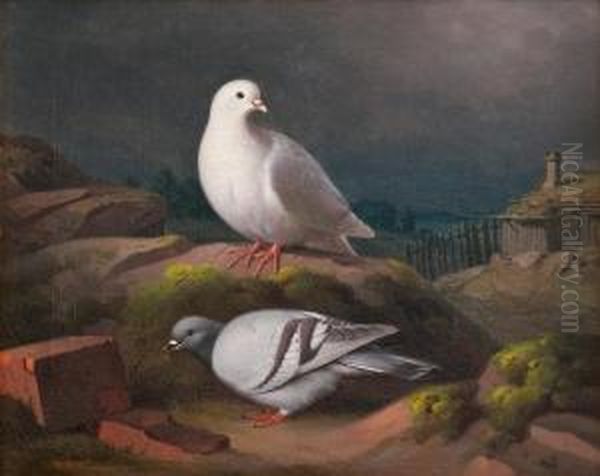 Doves On A Cliff - view 1