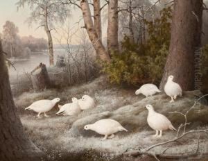 A Bevy Of Ptarmigans By The River by Ferdinand Wilhelm Von Wright