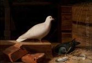 Paloma Blanca by Ferdinand Wilhelm Von Wright