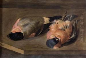 Punatulkut. by Magnus Von Wright