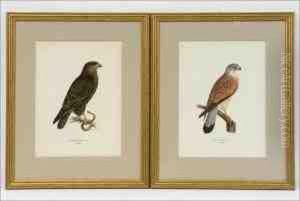 Litografioita, 2 Kpl - Litografier, 2 St. by Magnus Von Wright