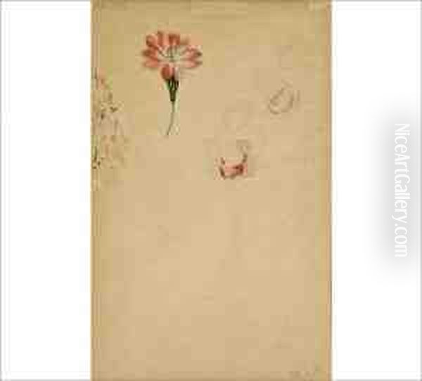 Untitled - view 1