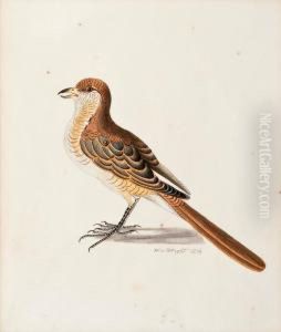 A Bird by Wilhelm Von Wright