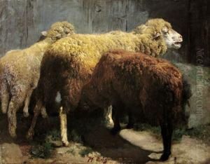 Trzy Owce by Heinrich Johann Von Zugel