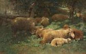 Ruhende Schafe Am Waldrand by Heinrich Johann Von Zugel