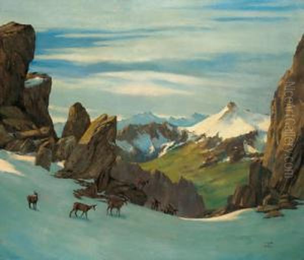 Gemsen In The High Mountains - view 1