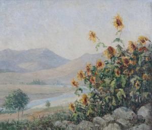 Zuiders Berglandschap Met Zonnebloemen Voor Rivier