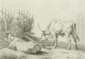 Hay Wagon With Oxen Reclining And Standing
