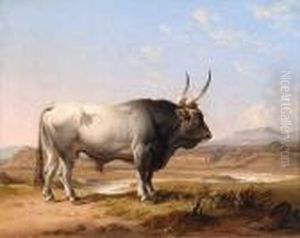 Cow At Dusk