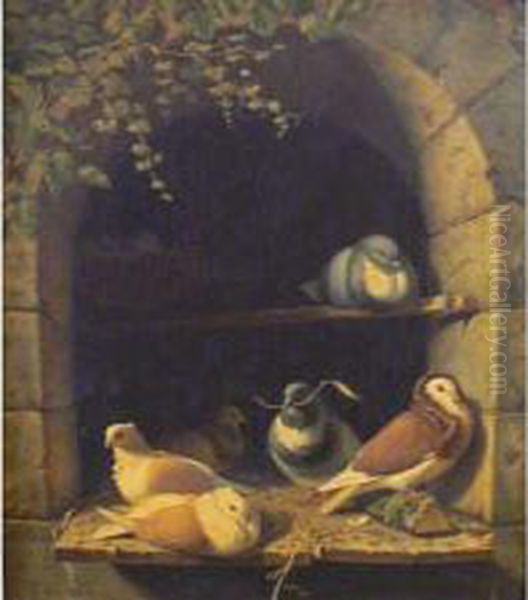 Les Pigeons - view 1