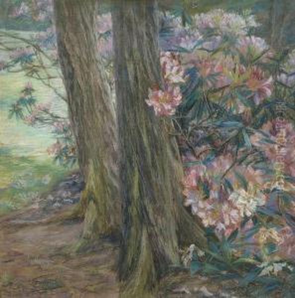 Rhododendron In A Garden. - view 1
