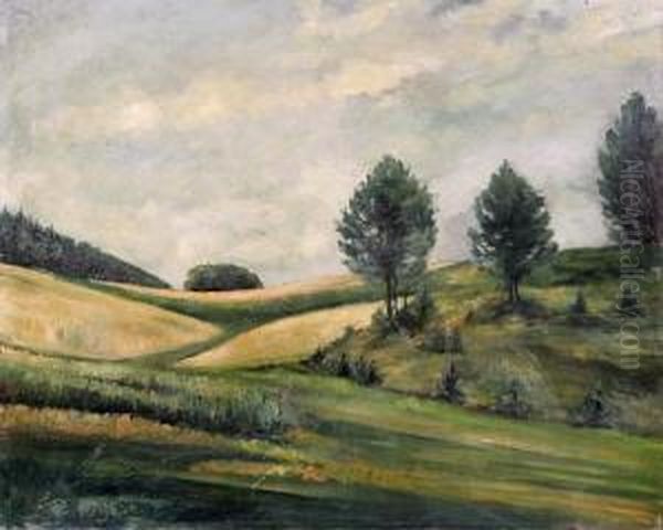 Sommerlandschaft In Der Mark Brandenburg - view 1