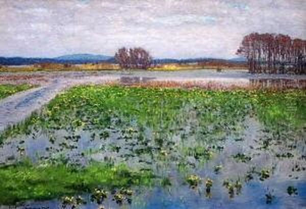 Bluhende, Uberflutete Fruhlingswiese Am Flusufer Mit Baumstaffage Im Hintergrund - view 1