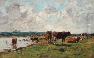 Vaches au bord de la Touques