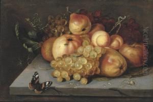 Apples, Grapes, Pears And Apricots On A Stone Ledge With Abutterfly, And Spiders Nearby by Jacob Woutersz Vosmaer