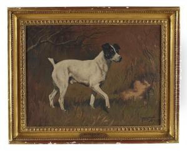 Boxer Iind, A Jack Russell - view 1