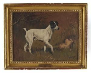 Boxer Iind, A Jack Russell