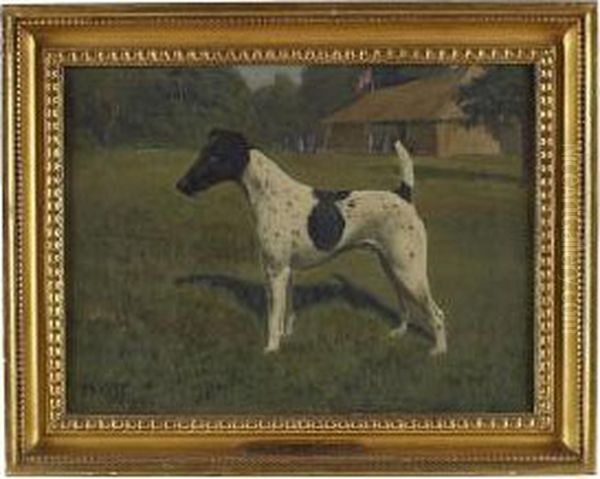 Champion Desert Deputy, A Jack Russell - view 1