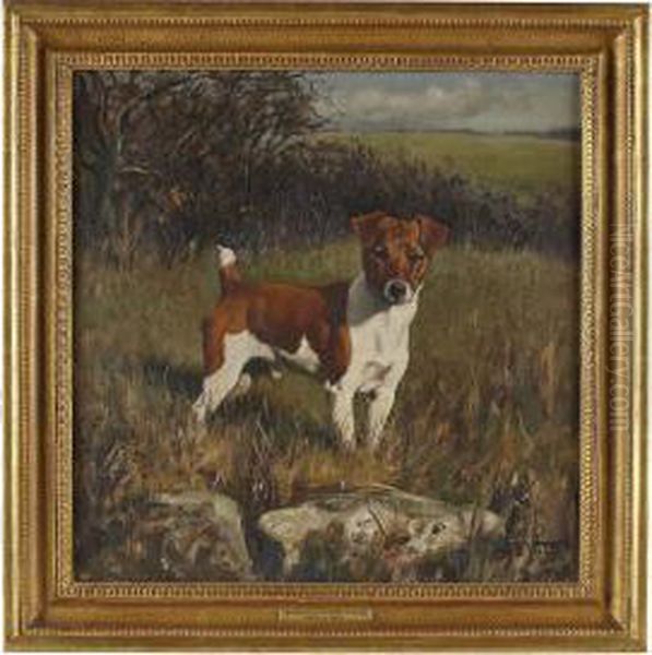 Nipper Of The Pytchley, A Jack Russell - view 1