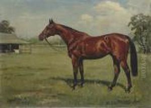 Deans Law by Frank Brook Voss