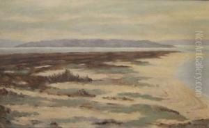 The Scottish Coast