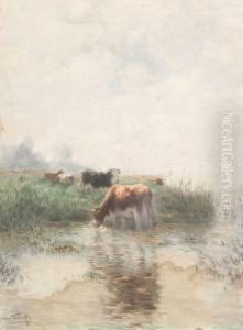 Koeien Bij Het Water by Jan Martinus Vrolijk