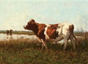 Koe In Weide Langs De Sloot by Jan Martinus Vrolijk