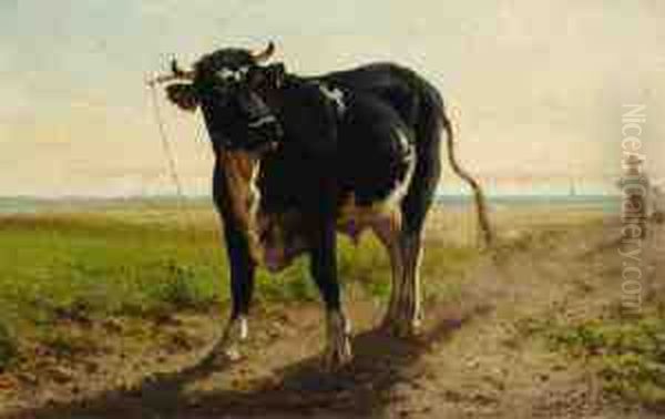 The Bull - view 1