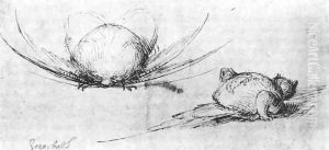 Animal studies