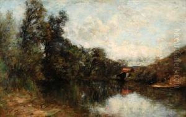 Baumbestandene Flusslandschaft - view 1