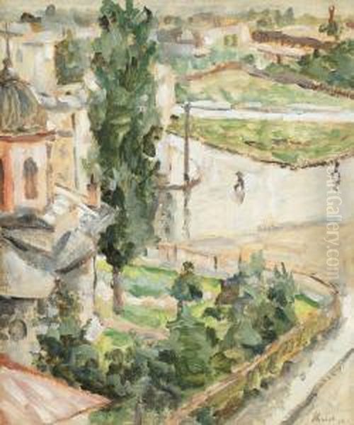 Peisaj Dupa Ploaie - view 1
