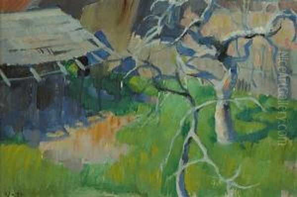 The Fig Tree - view 1