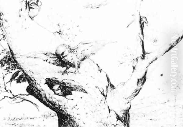 Nest of Owls - view 1