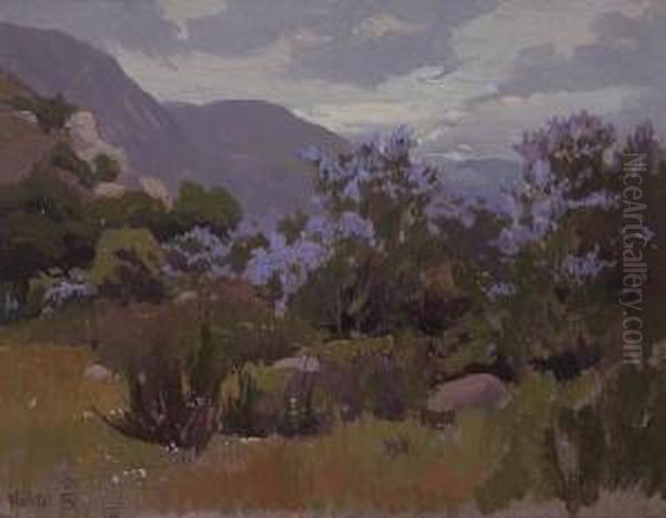Lupines In The Mist - view 1