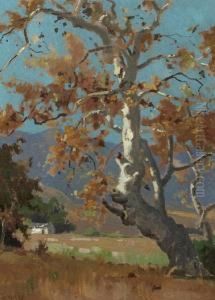 Ranch Beneath The San Gabriel Mountains