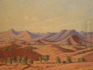 Flinders Ranges Landscape by Robert Waden