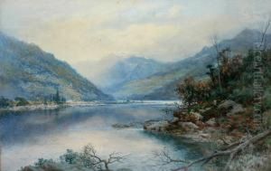 New Zealand Fjord by William Joseph Wadham