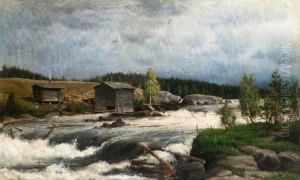 View Over The Rapids by Torsten Waenerberg