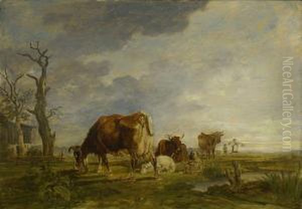 Kuhe Und Schafe Auf Der Weide - view 1