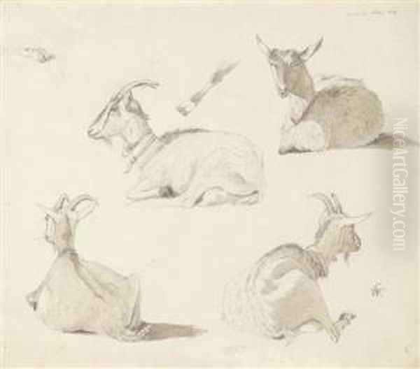 A Study Sheet With Four Goats - view 1