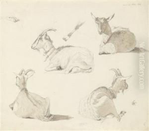 A Study Sheet With Four Goats