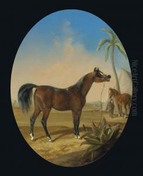 Horses At The Oasis - view 1