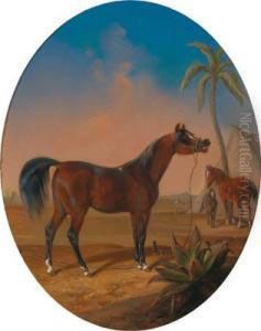 Cavalli Nell""""oasi by Edmund Wagner